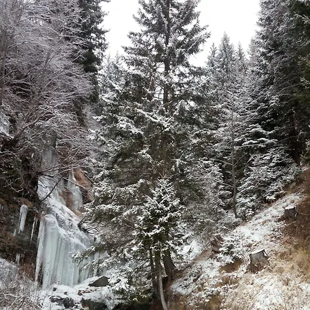Hotel San Carlo, Tra Bormio E Livigno Isolaccia